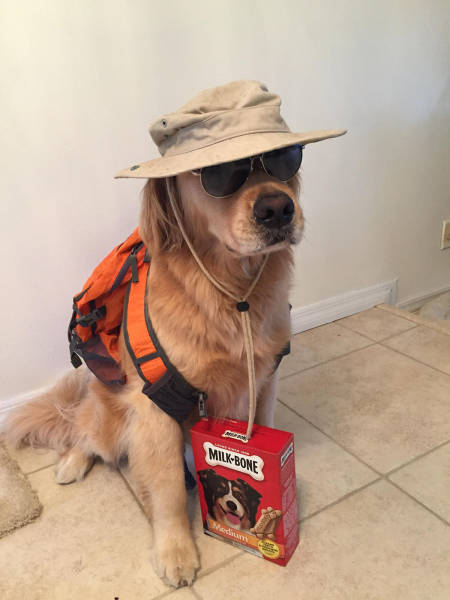 morning picdump 51 pics 18.html - 51 HD Photos | Premium Gallery 2017