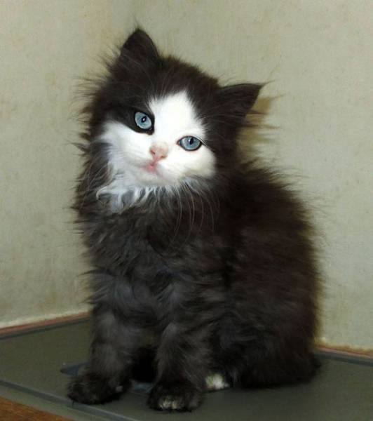 morning picdump 51 pics 18.html - 51 HD Photos | Premium Gallery 2017