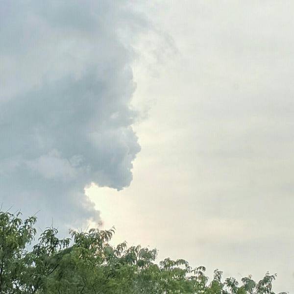 morning picdump 51 pics 14.html - 51 HD Photos | Premium Gallery 2017