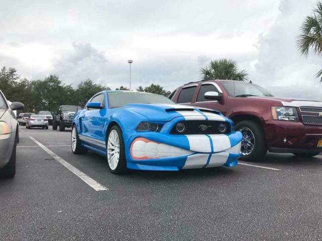 morning picdump 51 pics 14.html - 51 HD Photos | Premium Gallery 2017