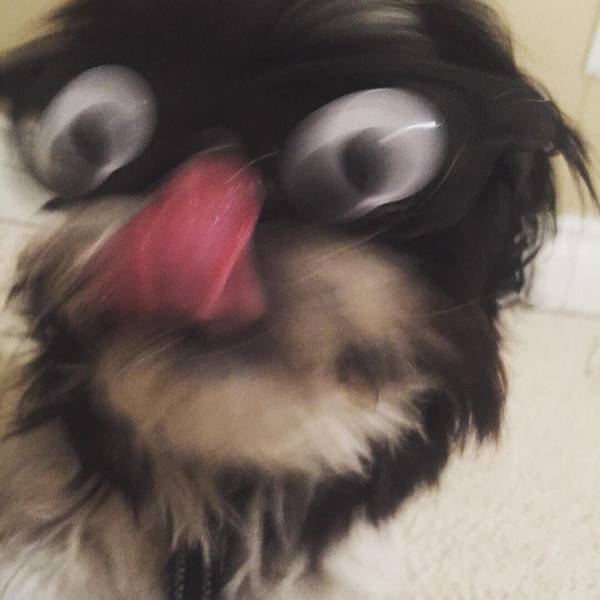 morning picdump 51 pics 14.html - 51 HD Photos | Premium Gallery 2017