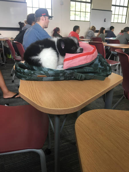 morning picdump 51 pics 14.html - 51 HD Photos | Premium Gallery 2017