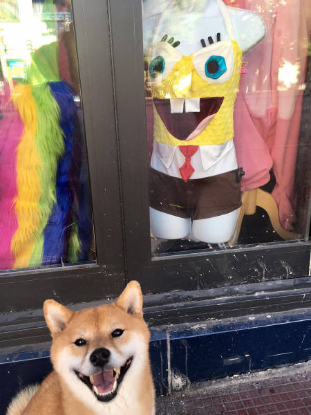 morning picdump 51 pics 14.html - 51 HD Photos | Premium Gallery 2017