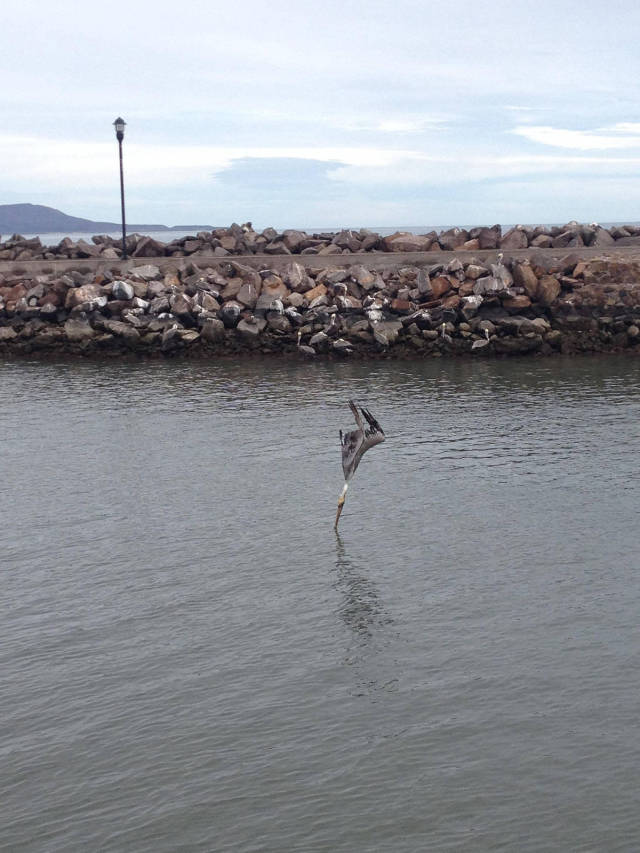 morning picdump 51 pics 14.html - 51 HD Photos | Premium Gallery 2017