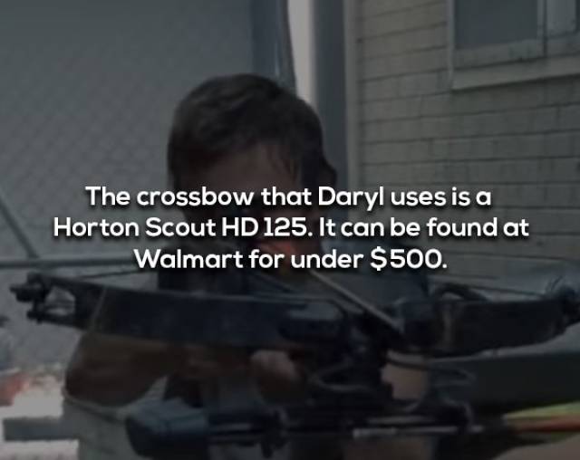 Not Brain-Dead Facts About “The Walking Dead”