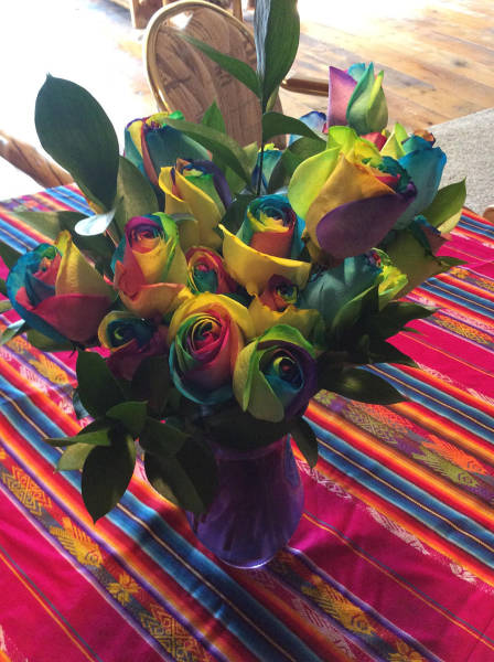 daily picdump 83 pics 10.html - 83 HD Photos | Premium Gallery 2017