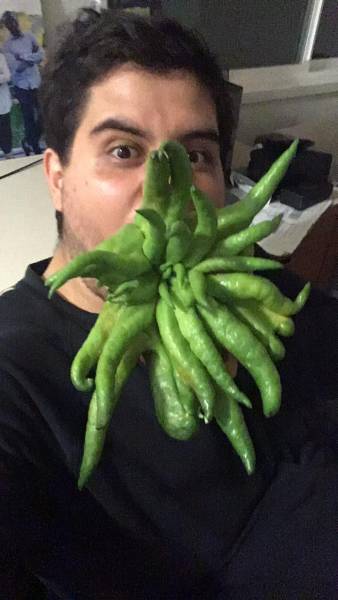 daily picdump 83 pics 10.html - 83 HD Photos | Premium Gallery 2017