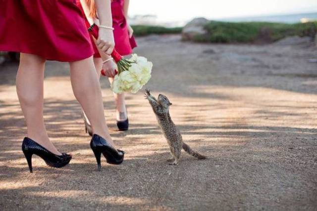 daily picdump 84 pics 32.html - 84 HD Photos | Premium Gallery 2017