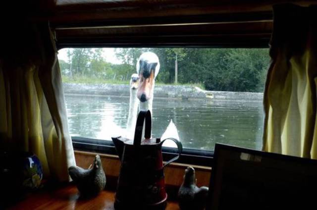 daily picdump 84 pics 32.html - 84 HD Photos | Premium Gallery 2017