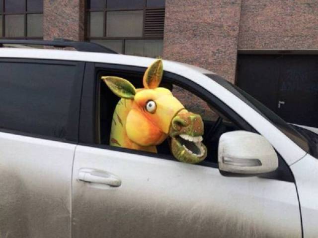 daily picdump 84 pics 32.html - 84 HD Photos | Premium Gallery 2017