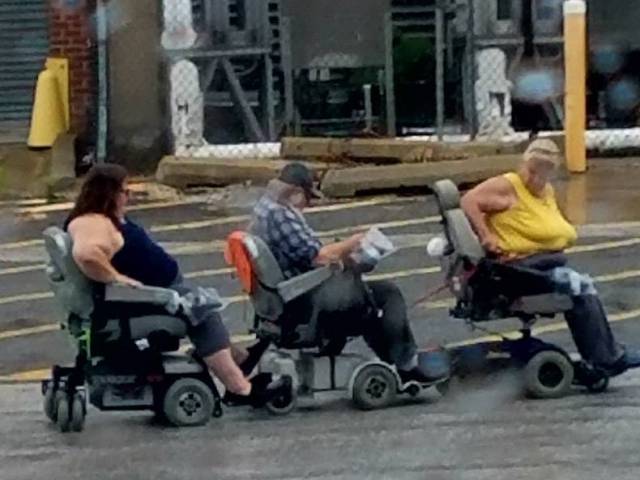 daily picdump 84 pics 32.html - 84 HD Photos | Premium Gallery 2017