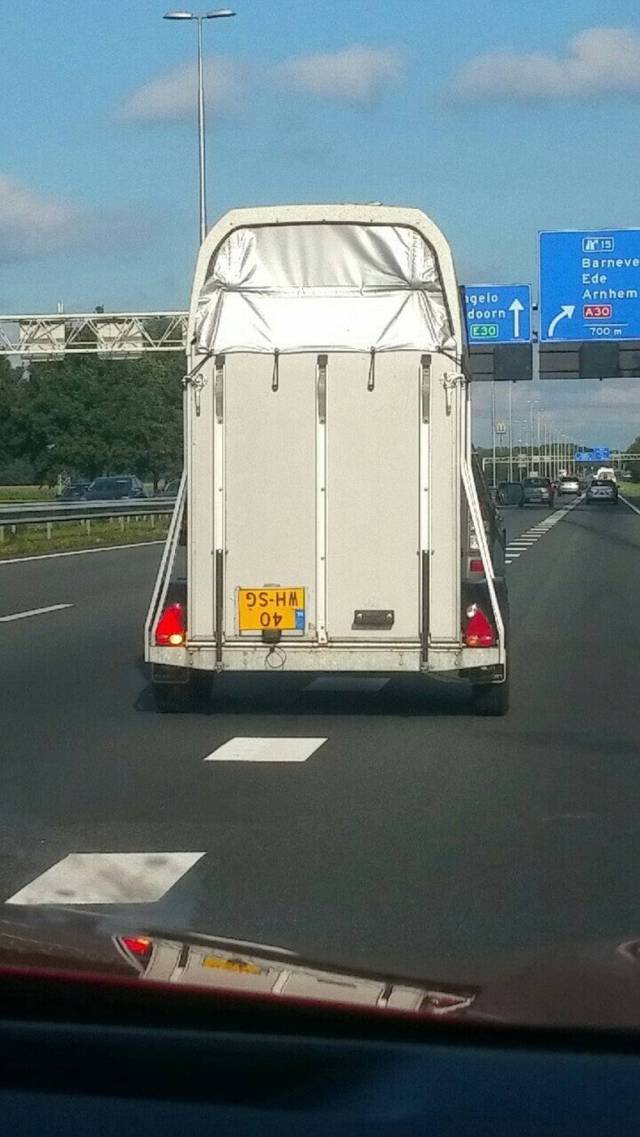 daily picdump 84 pics 32.html - 84 HD Photos | Premium Gallery 2017