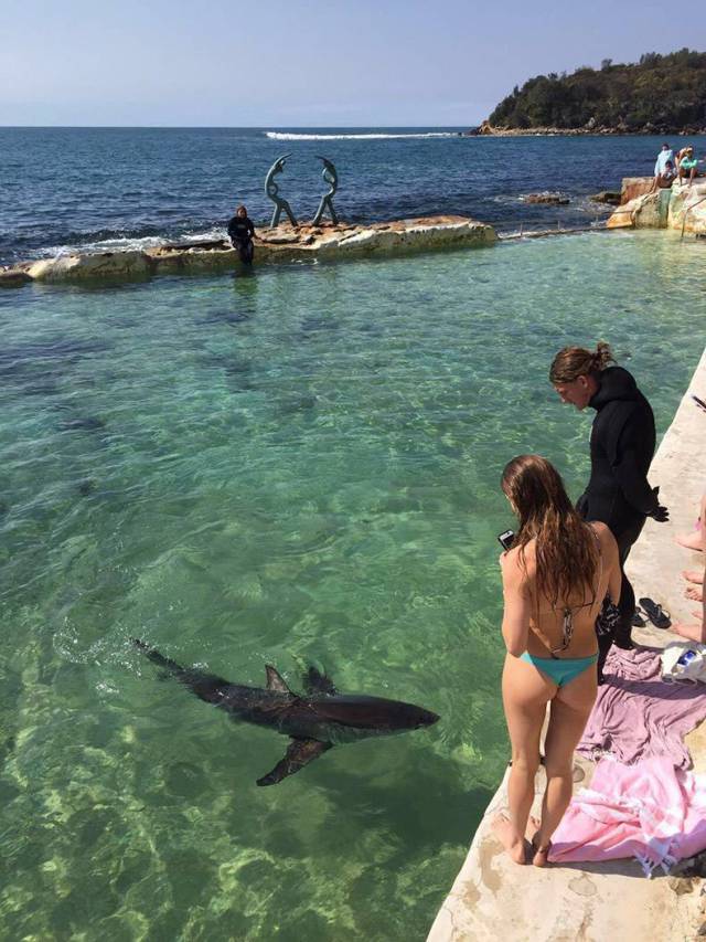 daily picdump 84 pics 32.html - 84 HD Photos | Premium Gallery 2017