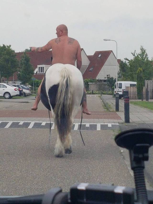 daily picdump 84 pics 32.html - 84 HD Photos | Premium Gallery 2017