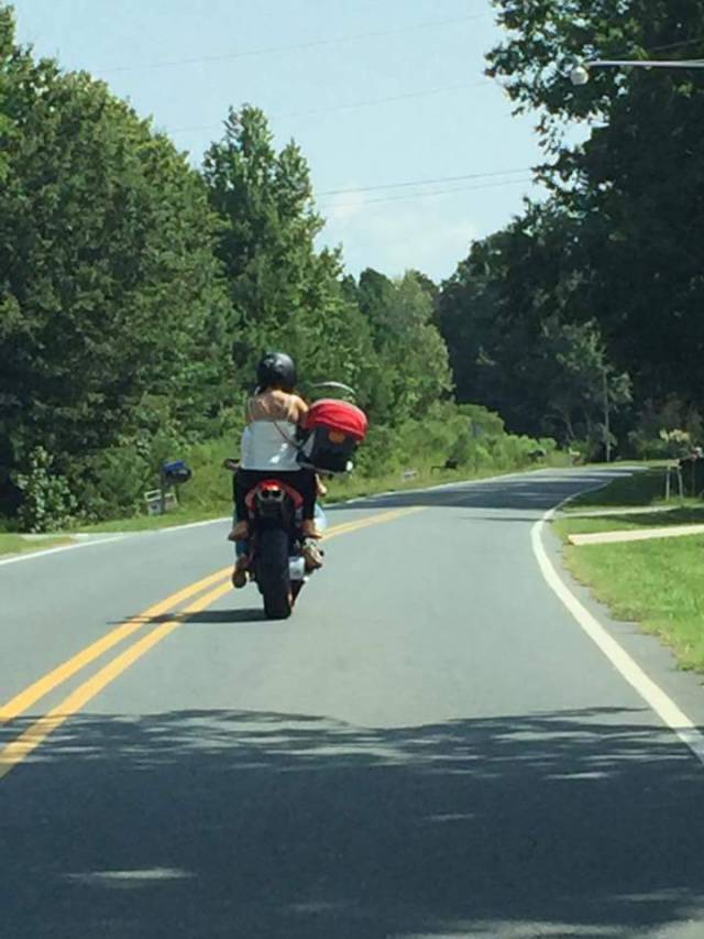 daily picdump 84 pics 32.html - 84 HD Photos | Premium Gallery 2017