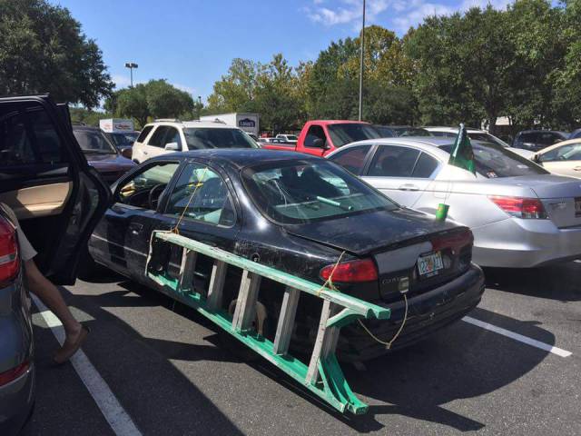 morning picdump 50 pics 19.html - 50 HD Photos | Premium Gallery 2017