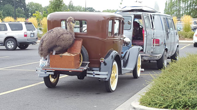 morning picdump 50 pics 19.html - 50 HD Photos | Premium Gallery 2017