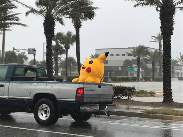 morning picdump 50 pics 19.html - 50 HD Photos | Premium Gallery 2017