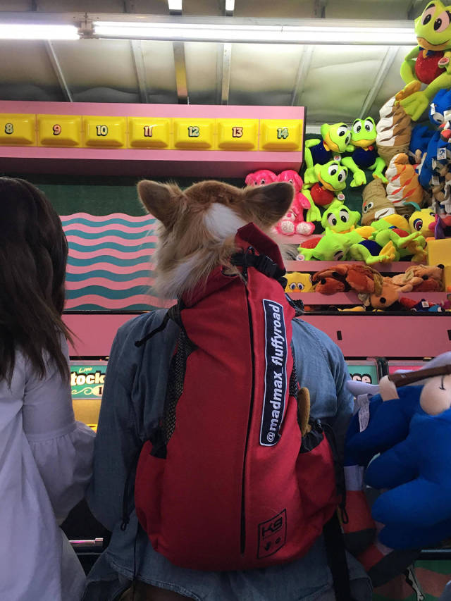 morning picdump 50 pics 19.html - 50 HD Photos | Premium Gallery 2017