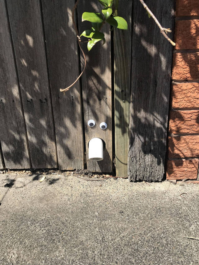 morning picdump 50 pics 19.html - 50 HD Photos | Premium Gallery 2017