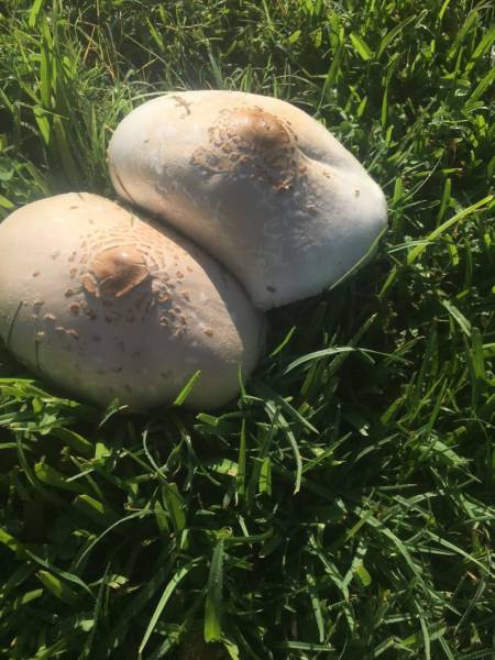 Something Is So Inappropriate Here…