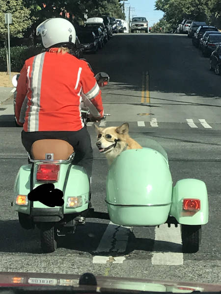 morning picdump 52 pics 8.html - 52 HD Photos | Premium Gallery 2017