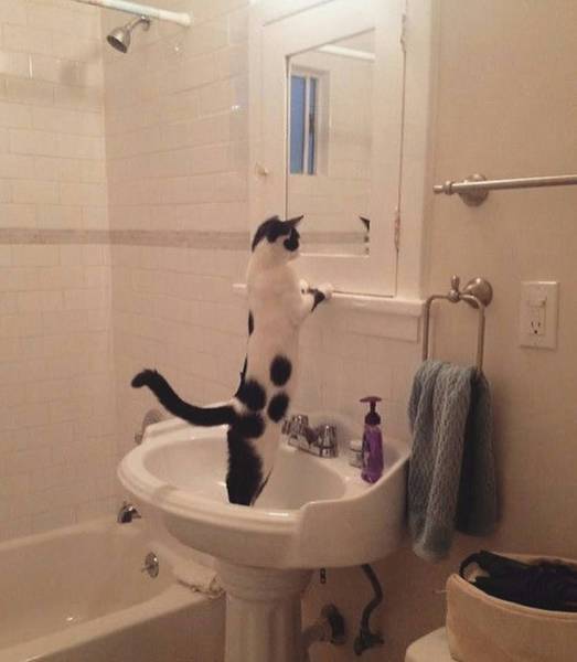 morning picdump 52 pics 8.html - 52 HD Photos | Premium Gallery 2017