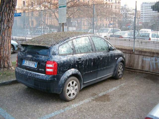 daily picdump 83 pics 6.html - 83 HD Photos | Premium Gallery 2017