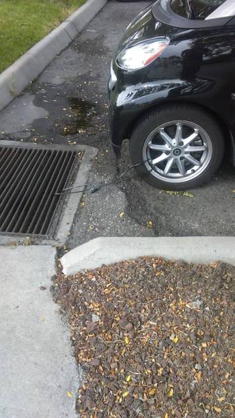 daily picdump 83 pics 6.html - 83 HD Photos | Premium Gallery 2017