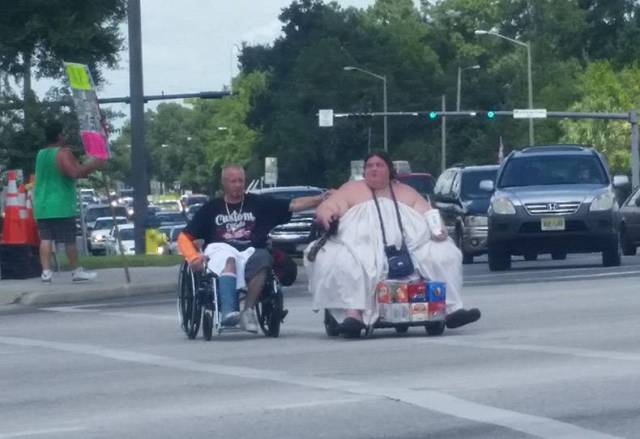 daily picdump 83 pics 6.html - 83 HD Photos | Premium Gallery 2017