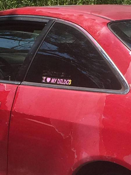 daily picdump 83 pics 6.html - 83 HD Photos | Premium Gallery 2017