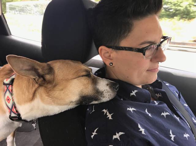 daily picdump 83 pics 6.html - 83 HD Photos | Premium Gallery 2017