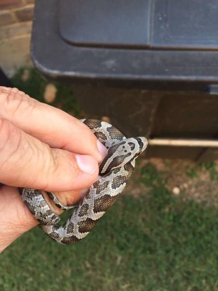 morning picdump 52 pics 6.html - 52 HD Photos | Premium Gallery 2017