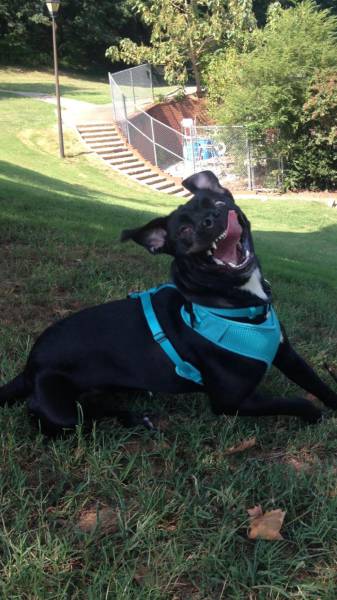 morning picdump 52 pics 6.html - 52 HD Photos | Premium Gallery 2017