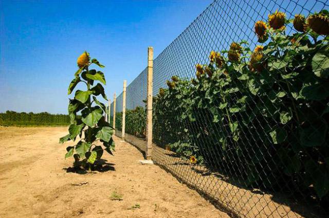 morning picdump 52 pics 6.html - 52 HD Photos | Premium Gallery 2017