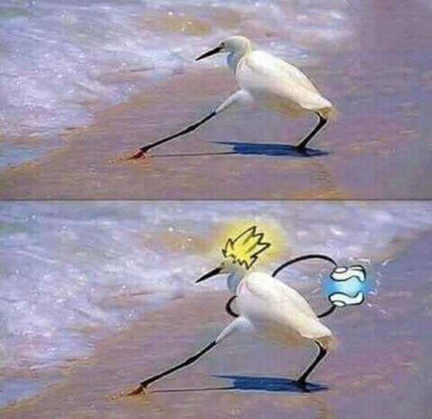 morning picdump 52 pics 6.html - 52 HD Photos | Premium Gallery 2017