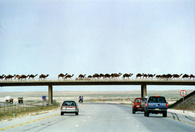 morning picdump 52 pics 6.html - 52 HD Photos | Premium Gallery 2017