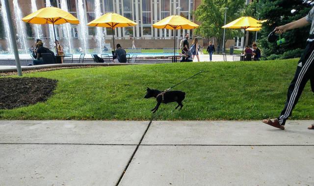 morning picdump 54 pics 2.html - 54 HD Photos | Premium Gallery 2017