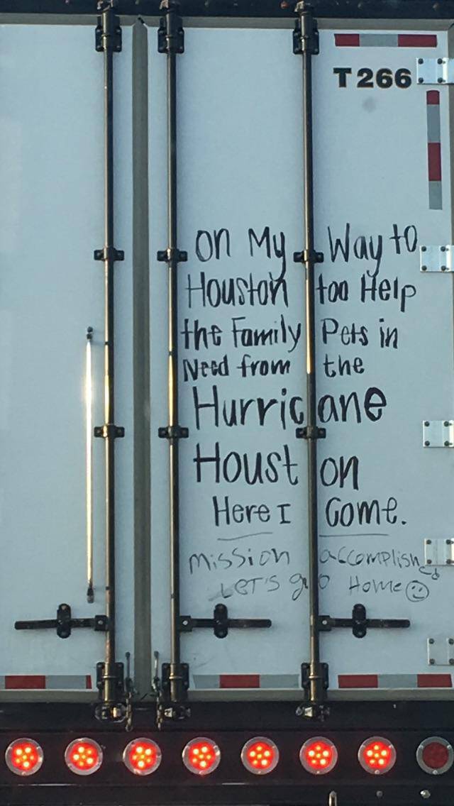 morning picdump 54 pics 2.html - 54 HD Photos | Premium Gallery 2017