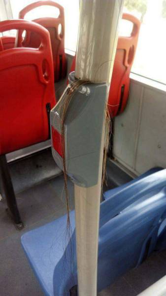 Daily Picdump [WEEKEND EDITION]