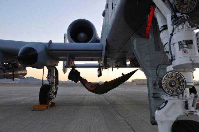 Daily Picdump [WEEKEND EDITION]