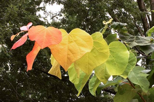 daily picdump weekend edition 57 pics 25.html - 57 HD Photos | Premium Gallery 2017