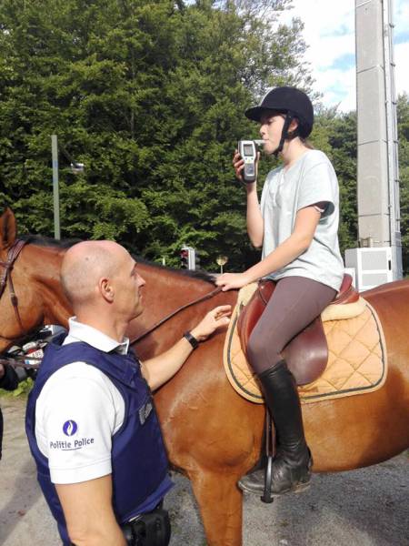 daily picdump weekend edition 57 pics 25.html - 57 HD Photos | Premium Gallery 2017