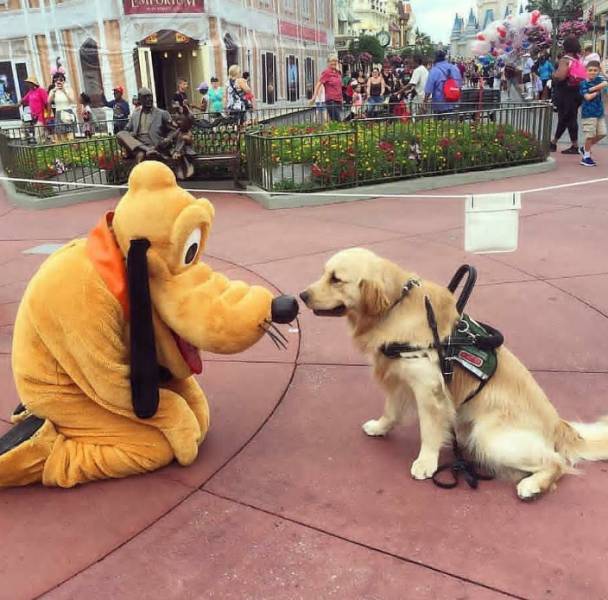 daily picdump weekend edition 57 pics 25.html - 57 HD Photos | Premium Gallery 2017