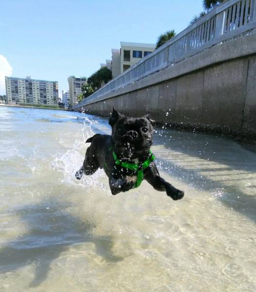 daily picdump weekend edition 57 pics 25.html - 57 HD Photos | Premium Gallery 2017