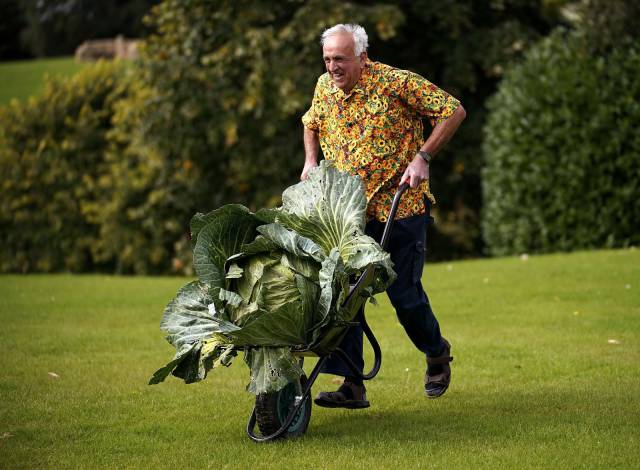 daily picdump 107 pics 5.html - 107 HD Photos | Premium Gallery 2017