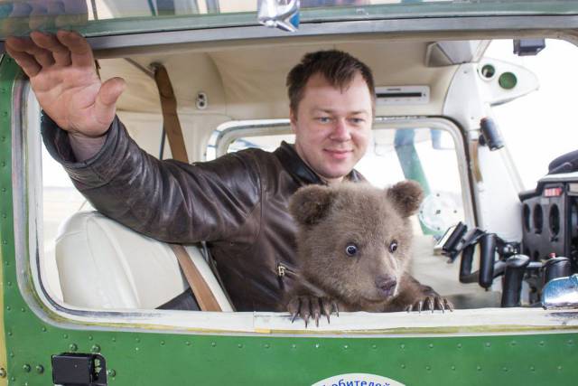 daily picdump 107 pics 5.html - 107 HD Photos | Premium Gallery 2017