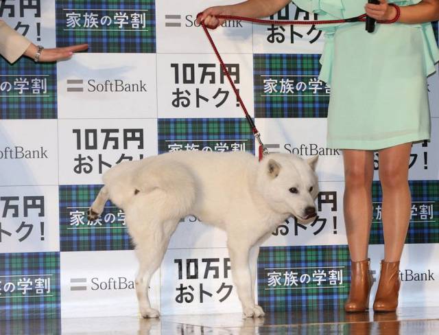 daily picdump 107 pics 5.html - 107 HD Photos | Premium Gallery 2017