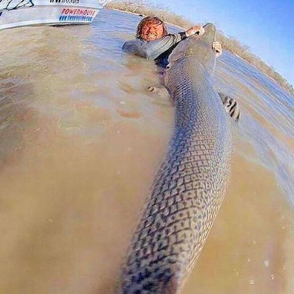 daily picdump 107 pics 5.html - 107 HD Photos | Premium Gallery 2017