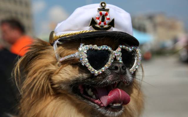 daily picdump 107 pics 5.html - 107 HD Photos | Premium Gallery 2017